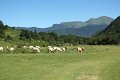 (87) Au plateau de Sanchèse